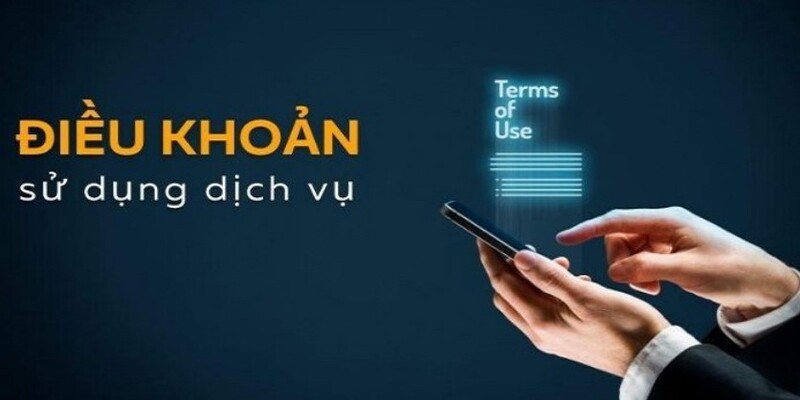 Tuân thủ điều khoản khi chơi cá cược tại 98Win